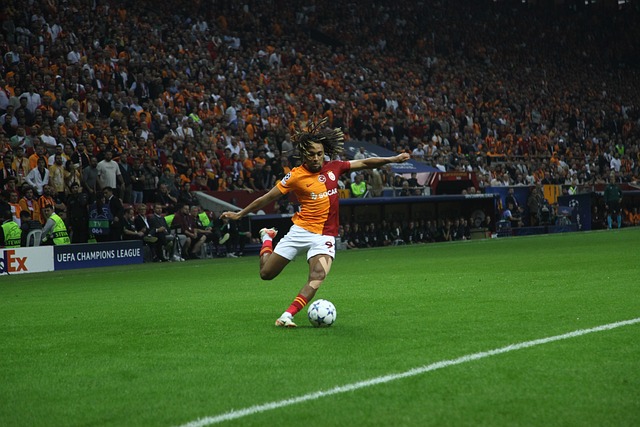 为所有热爱 为所有热爱