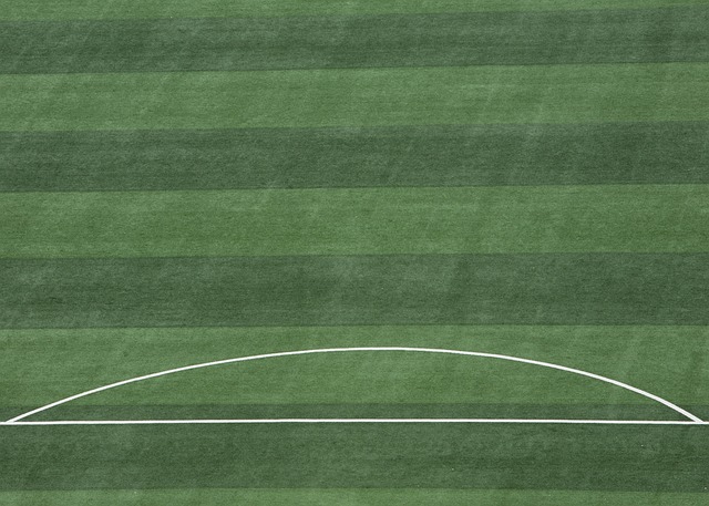 要比賽的臨 要比賽的臨